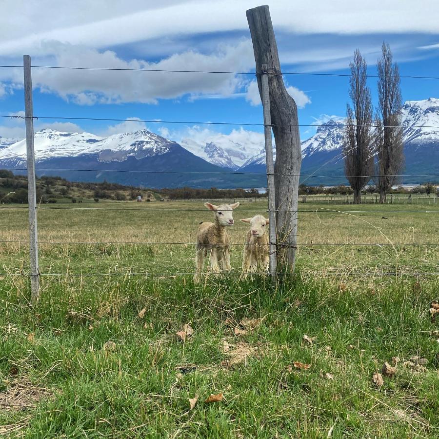 Estancia Nibepo Aike Colonia Francisco Perito Moreno ภายนอก รูปภาพ
