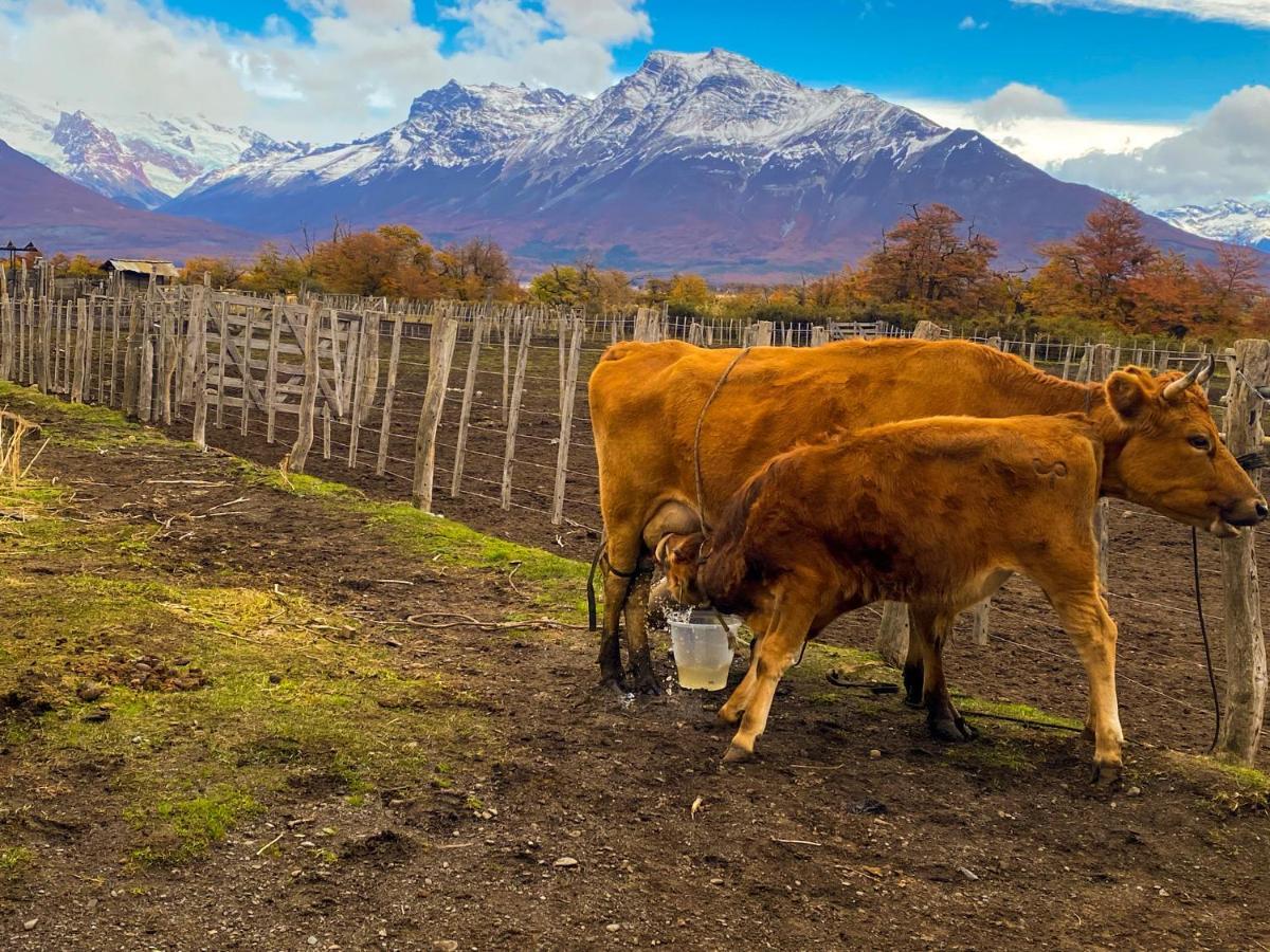 Estancia Nibepo Aike Colonia Francisco Perito Moreno ภายนอก รูปภาพ