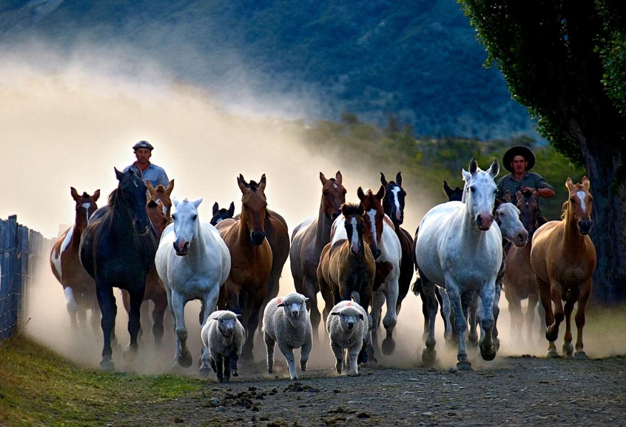 Estancia Nibepo Aike Colonia Francisco Perito Moreno ภายนอก รูปภาพ